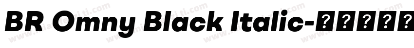 BR Omny Black Italic字体转换